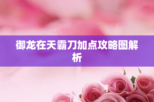 御龙在天霸刀加点攻略图解析图片
