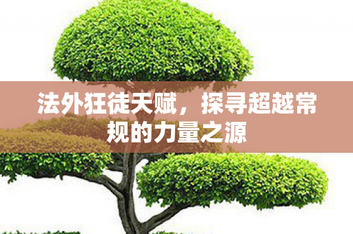 探寻超越常规的力量之源图片