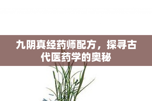 探寻古代医药学的奥秘图片
