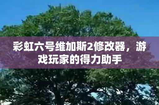 彩虹六号维加斯2修改器图片