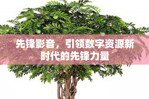 引领数字资源新时代的先锋力量图片
