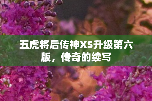五虎将后传神XS升级第六版图片