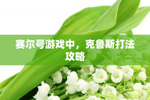 克鲁斯打法攻略图片