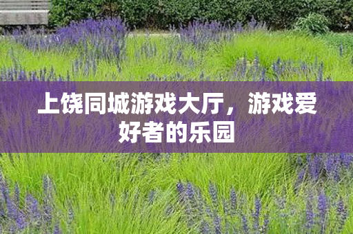 上饶同城游戏大厅图片