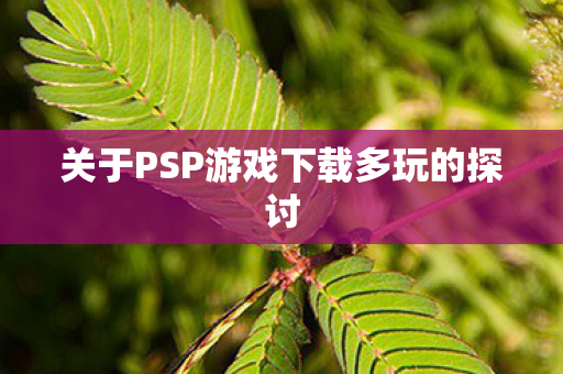 关于PSP游戏下载多玩的探讨图片