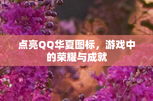 游戏中的荣耀与成就图片