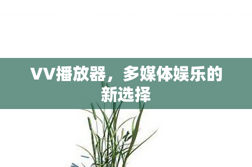多媒体娱乐的新选择图片