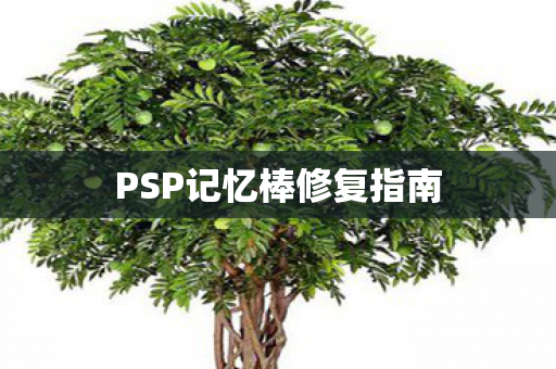 PSP记忆棒修复指南图片