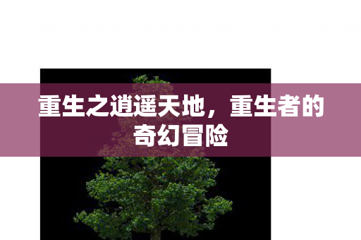 重生者的奇幻冒险图片