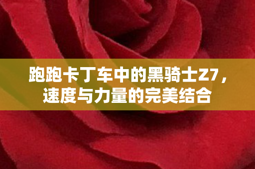 跑跑卡丁车中的黑骑士Z7图片
