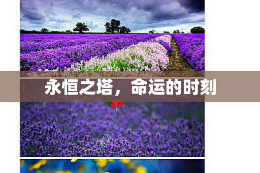 命运的时刻图片
