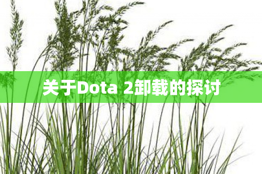 关于Dota 2卸载的探讨图片