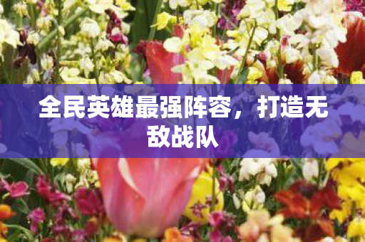 全民英雄最强阵容图片