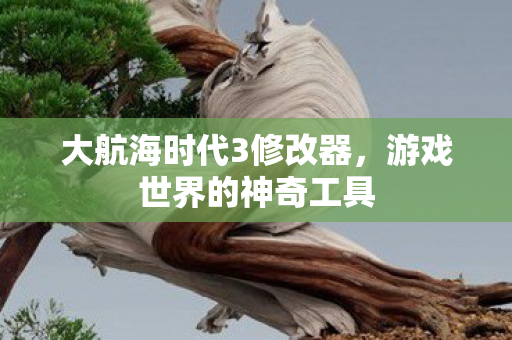 大航海时代3修改器图片