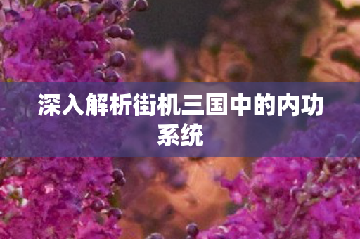 深入解析街机三国中的内功系统图片