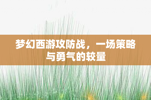 一场策略与勇气的较量图片