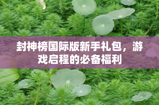 封神榜国际版新手礼包图片