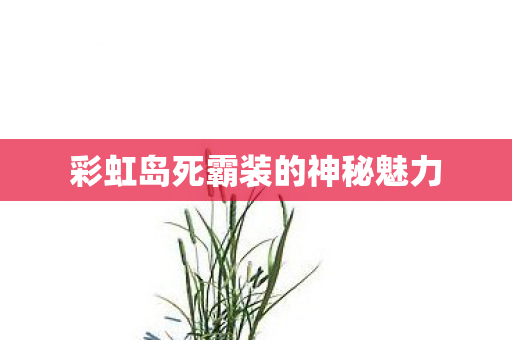 彩虹岛死霸装的神秘魅力图片