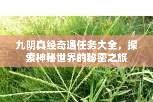 探索神秘世界的秘密之旅图片