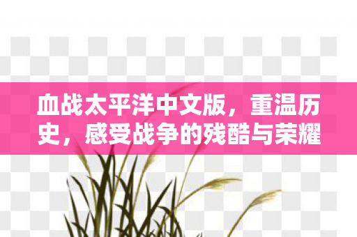 感受战争的残酷与荣耀图片