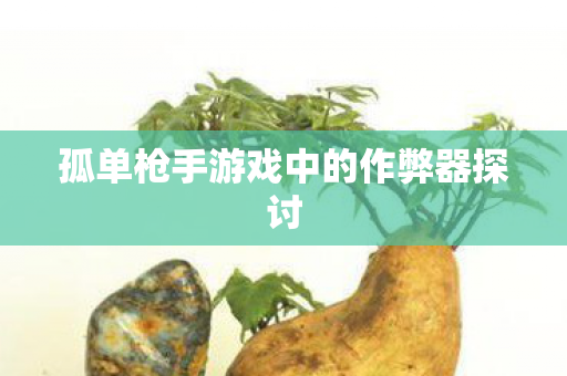 孤单枪手游戏中的作弊器探讨图片