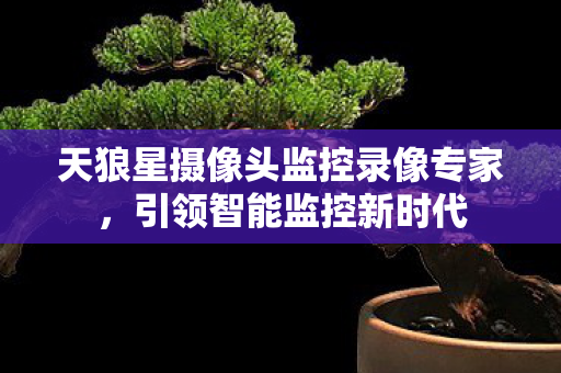 天狼星摄像头监控录像专家图片