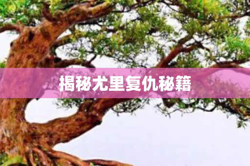 揭秘尤里复仇秘籍图片