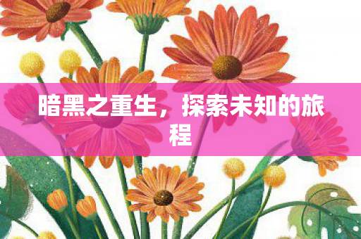 探索未知的旅程图片