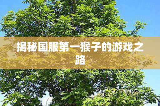 揭秘国服第一猴子的游戏之路图片