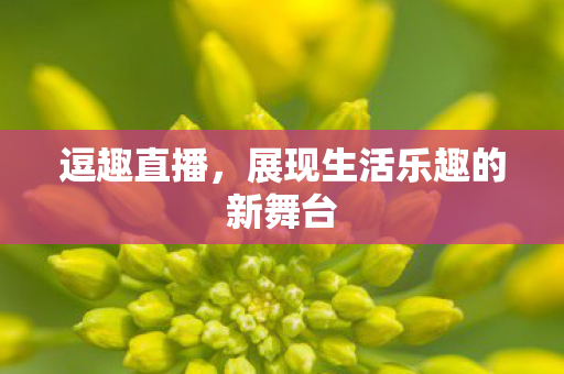 展现生活乐趣的新舞台图片