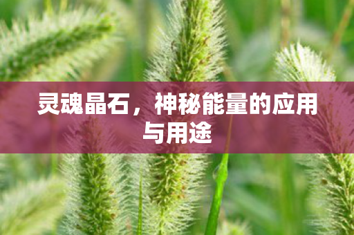 神秘能量的应用与用途图片