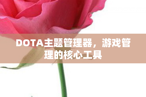 DOTA主题管理器图片