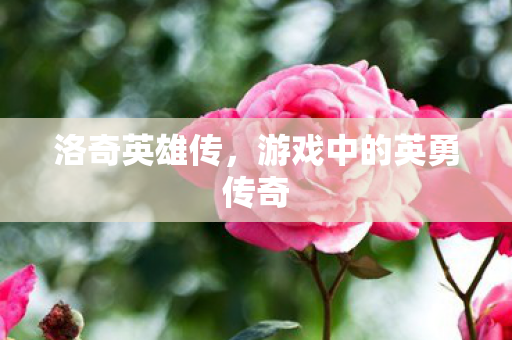 游戏中的英勇传奇图片