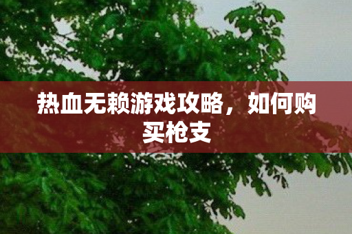 热血无赖游戏攻略图片