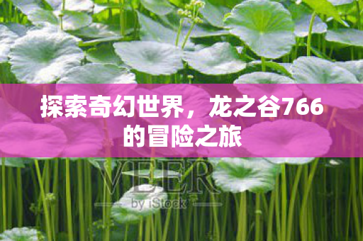 龙之谷766的冒险之旅图片