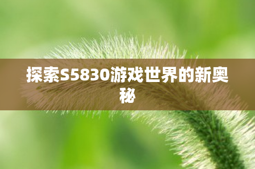 探索S5830游戏世界的新奥秘图片
