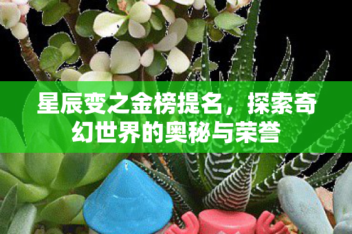 探索奇幻世界的奥秘与荣誉图片