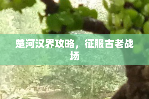 楚河汉界攻略图片