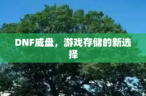 游戏存储的新选择图片