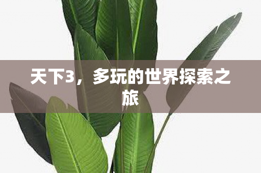 多玩的世界探索之旅图片