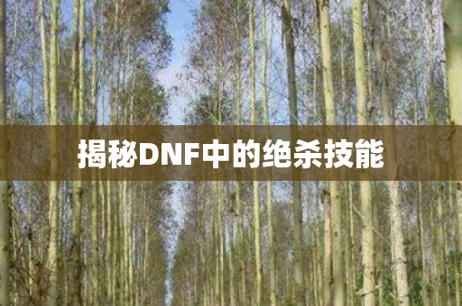 揭秘DNF中的绝杀技能图片