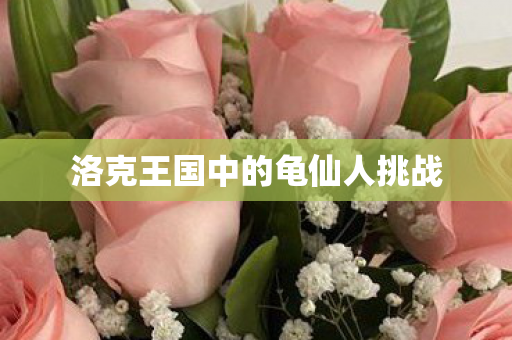 洛克王国中的龟仙人挑战图片