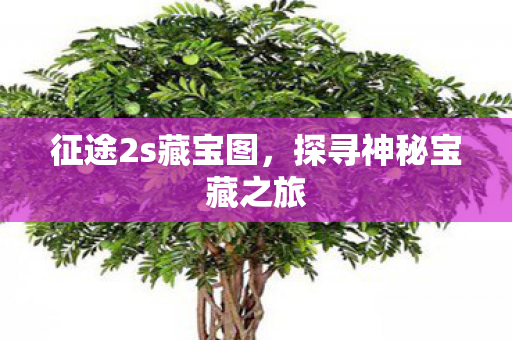 探寻神秘宝藏之旅图片