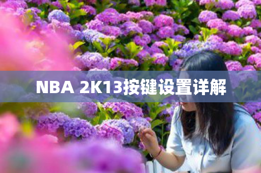 NBA 2K13按键设置详解图片