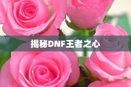 揭秘DNF王者之心图片