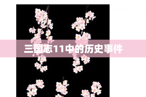 三国志11中的历史事件图片