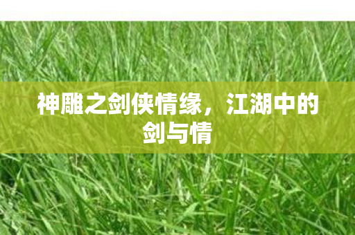 神雕之剑侠情缘图片