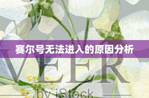 赛尔号无法进入的原因分析图片