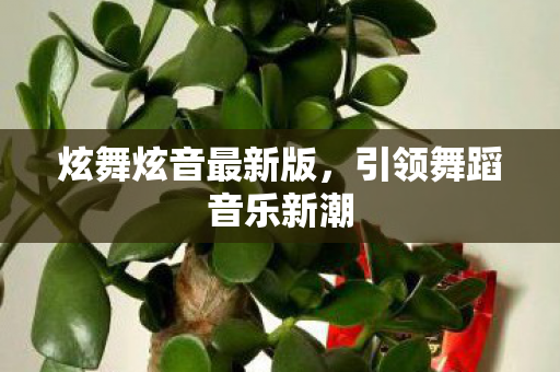 引领舞蹈音乐新潮图片
