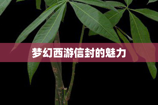 梦幻西游信封的魅力图片